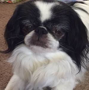 Meet your Posher, Pamela